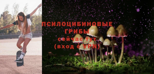 марки lsd Абаза