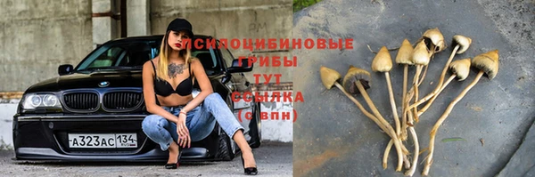 спайс Абдулино