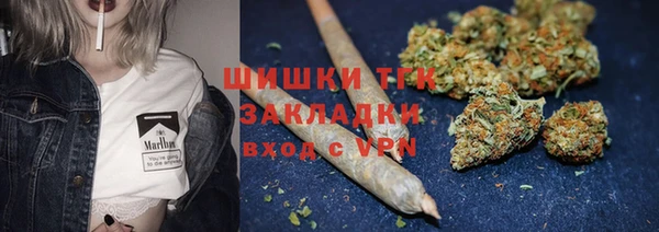 соль ск Алзамай
